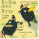 turtle books