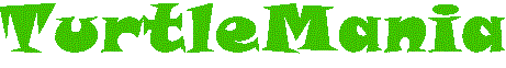 TurtleMania.com