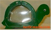 turtle picture 20