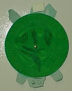 turtle art abigail
